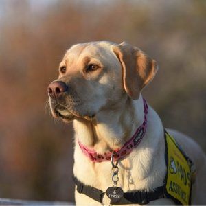 Meet your Posher, Tao